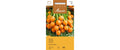 Karotte Pariser Markt Daucus carota