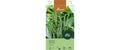 Buschbohne Processor (Sabo) Phaseolus vulgaris ssp. Vulgaris