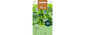 Cornichon Rita Cucumis sativum