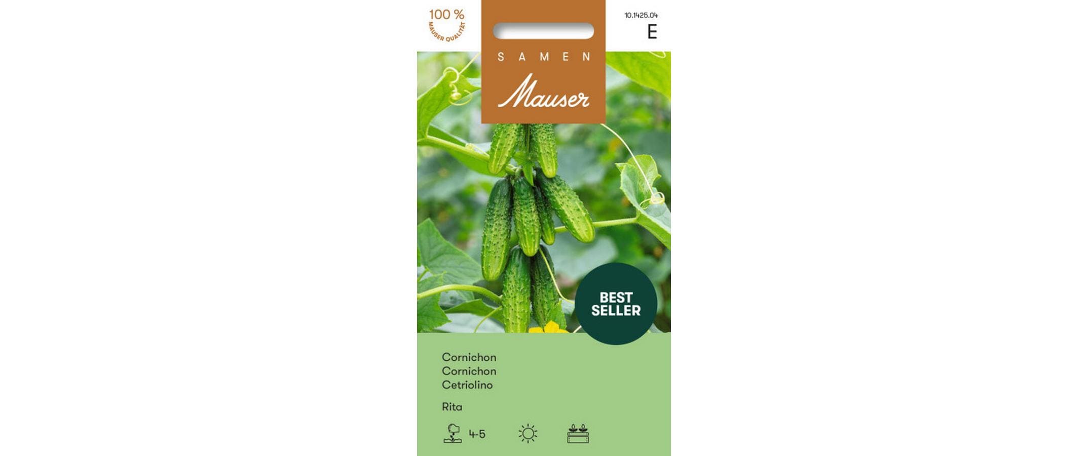 Cornichon Rita Cucumis sativum