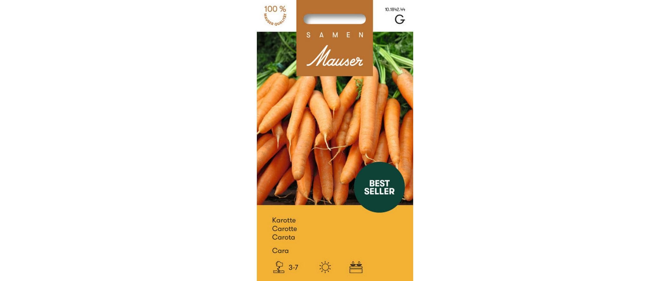 Karotte Cara Daucus carota