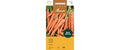 Karotte TipTop Daucus carota