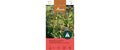 Mausers Blumenmix Imkergarten