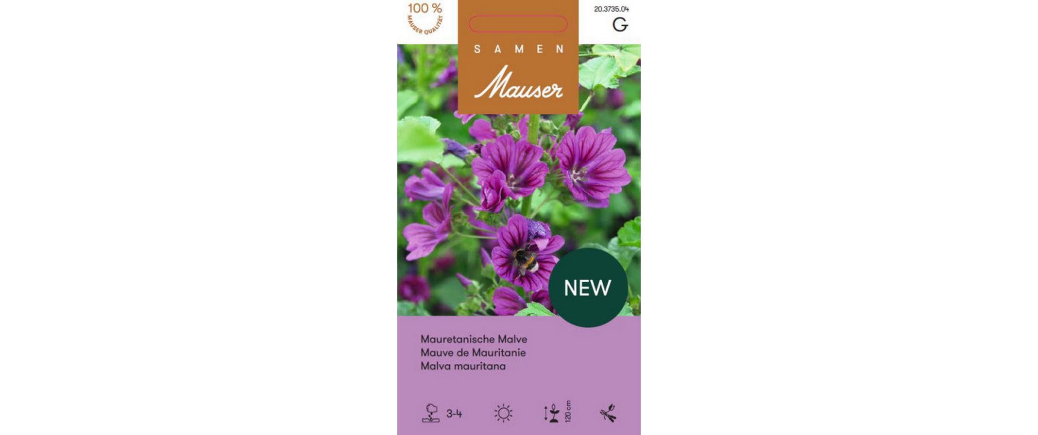 Mauretanische Malve