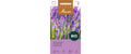 Samen Mauser Echter Lavendel Solanum melongena