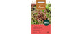Samen Mauser Eichblattsalat Red Salad Bowl