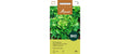 Samen Mauser Eichblattsalat Green Oak Leaf