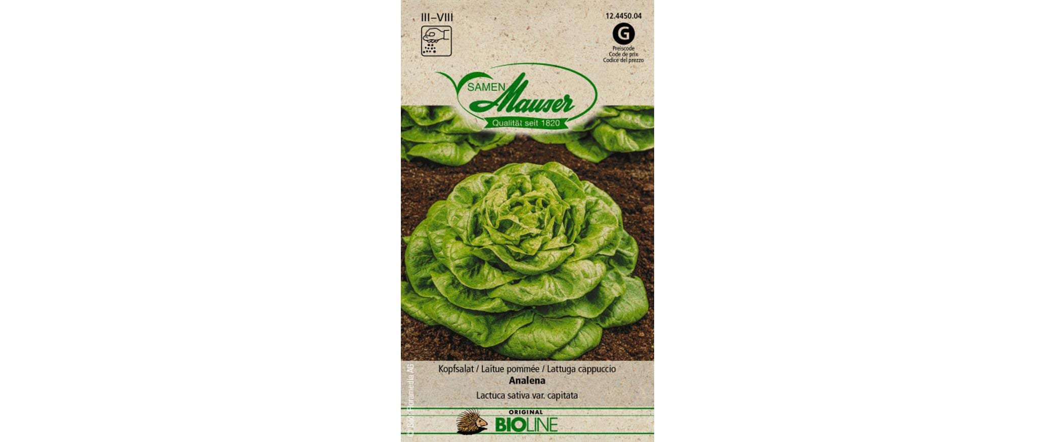 Samen Mauser Kopfsalat Analena