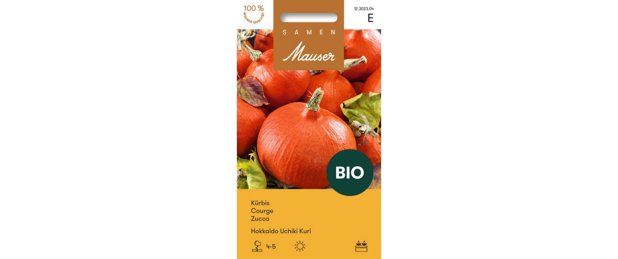 Samen Mauser Kürbis Hokkaido Uchiki Kuri