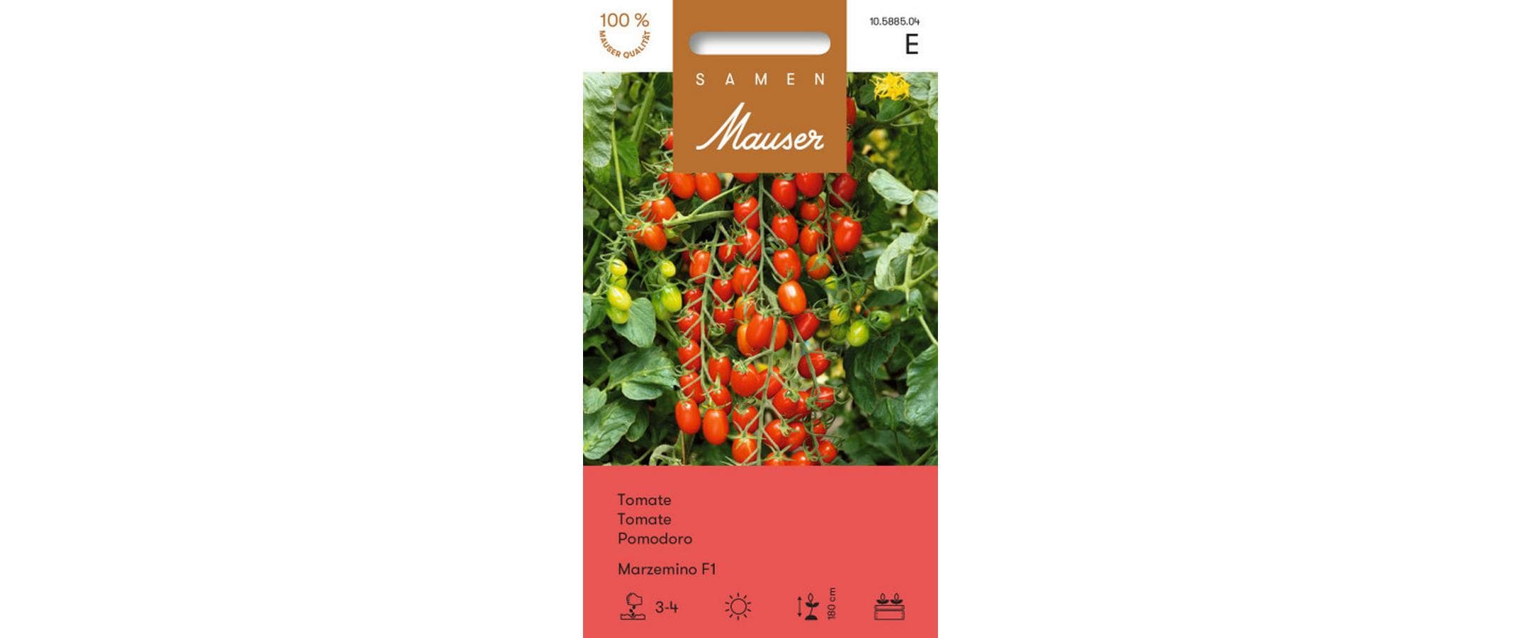 Tomate Marzemino F1