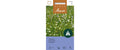 Samen Mauser Wildblumen Swissflora 50 g ca. 5 m2
