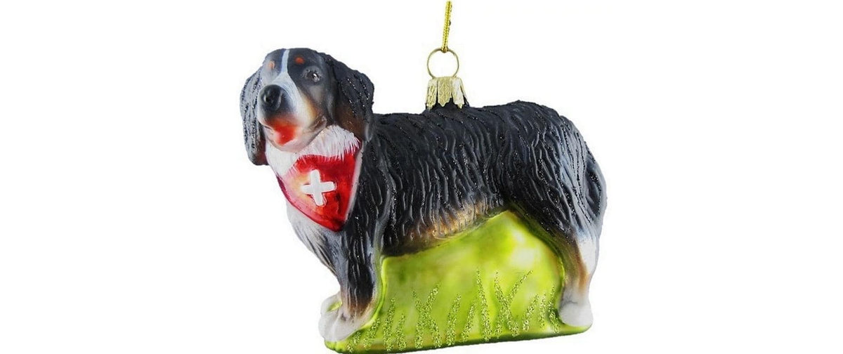 CN Weihnachtskugel Bernersennenhund Glas