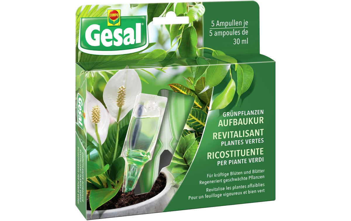 Grünpflanzen Aufbaukur 5x30ml Dünger