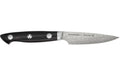 Zwilling Kramer Euro Spick & Garniermesser Stainless, 9cm
