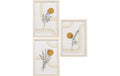 House Nordic Bilderrahmen Madison, 3er Set 30x21x1.5 cm, Glas, MDF