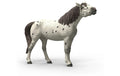 Schleich Knabstrupper Wallach Horse Club