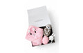 Badebox rosa Bär