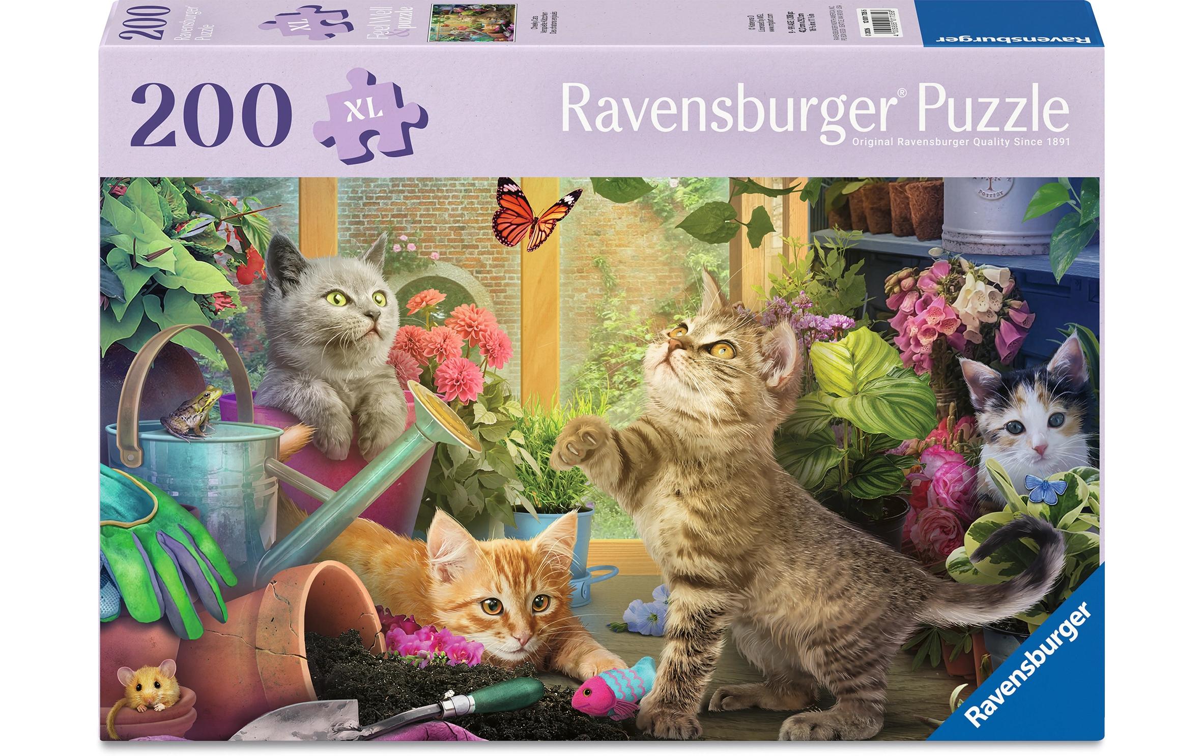 Verspielte Kätzchen