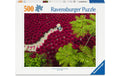 Ein Meer aus Rot