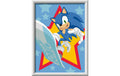 CreArt  Malen nach Zahlen Flinker Sonic