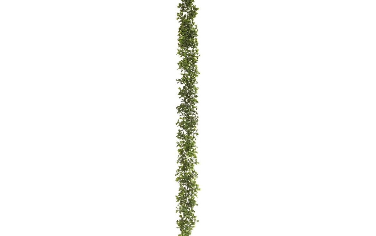 Botanic-Haus Buchsbaumgirlande 180 cm