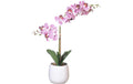 Chalet Orchidee im Topf 56cm 56cm weiss rosa