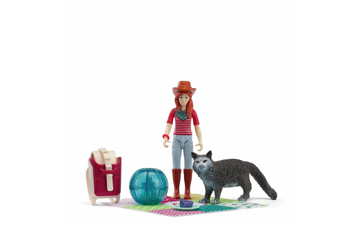 Picknickspass