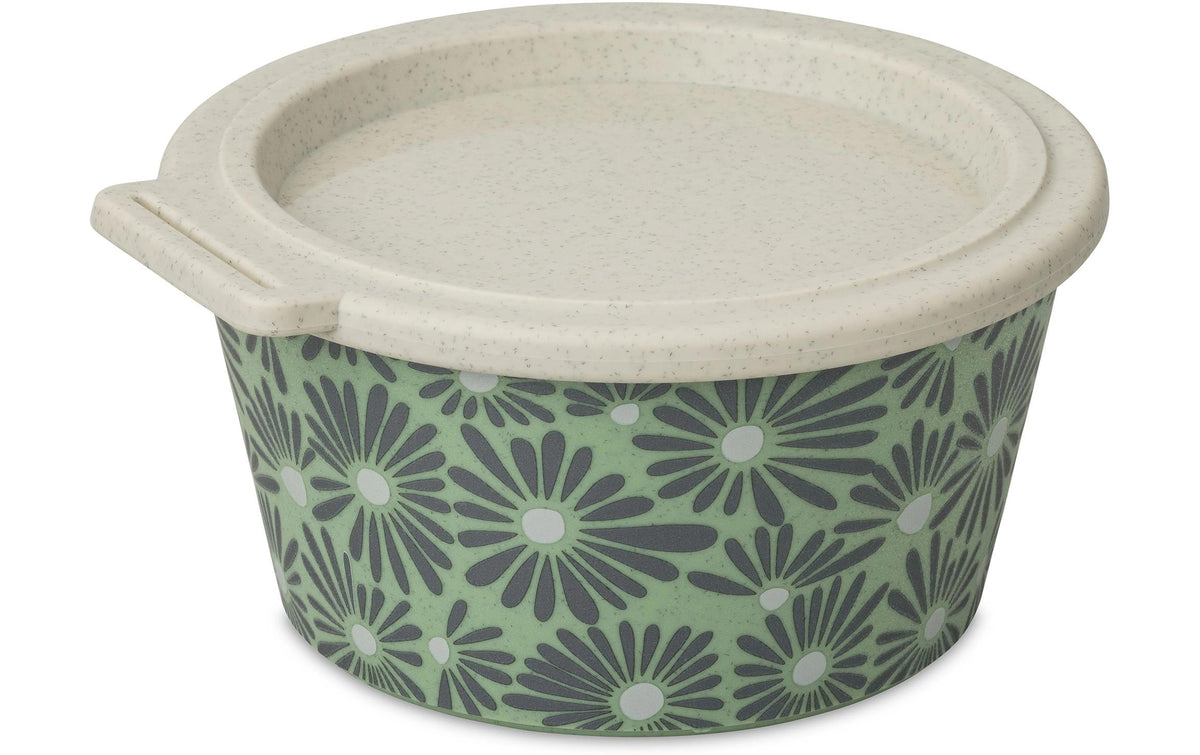 Koziol Blomster Box Daisy nature leaf green, 700 ml mit Deckel