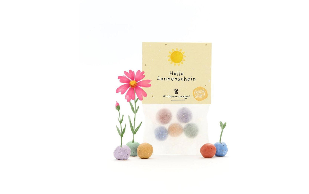 Stadtgärtner Blumenmurmeln Hallo Sonnenschein