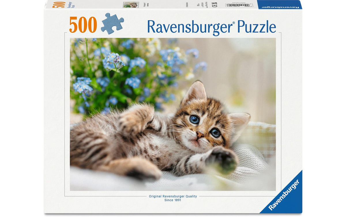 A bouquet of sweetness      500p