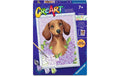 Dachshund Lilac      D/F/E/I/EN/NL/PL/PT