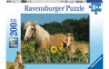 Pferdeglück