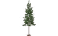 Weihnachtsbaum Tallis Indoor, Grün, 200cm