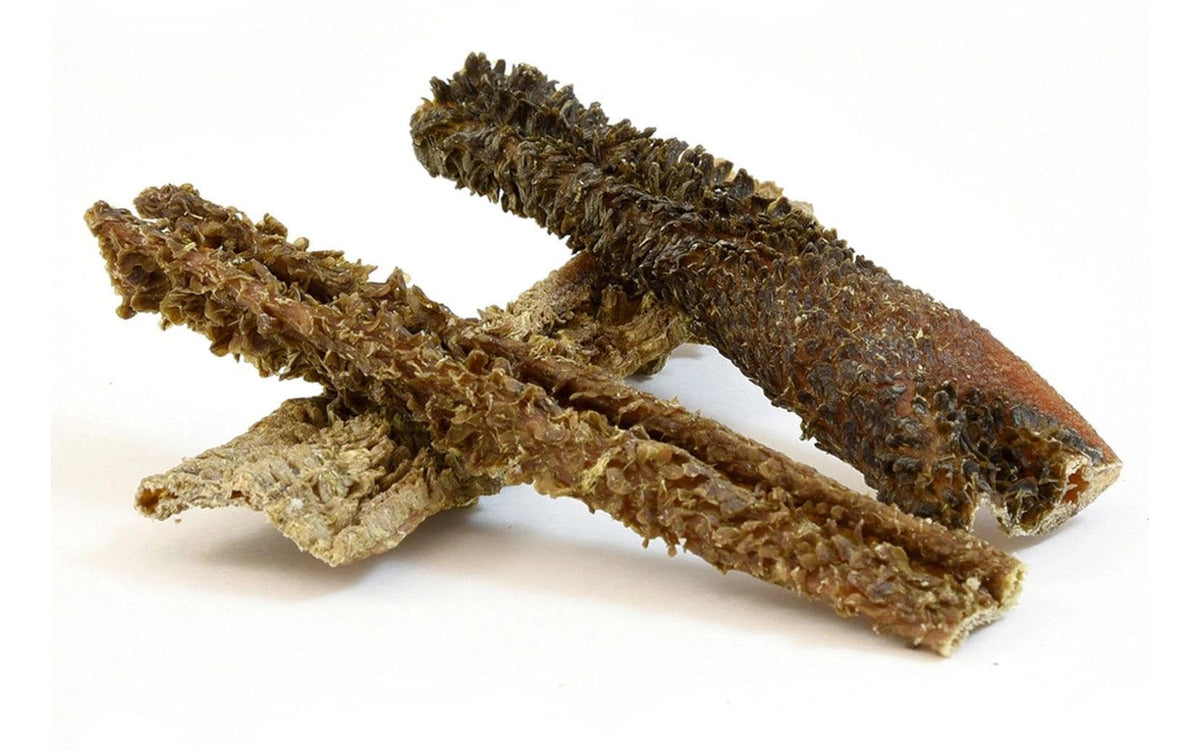 Fresco Lammpansen 500g