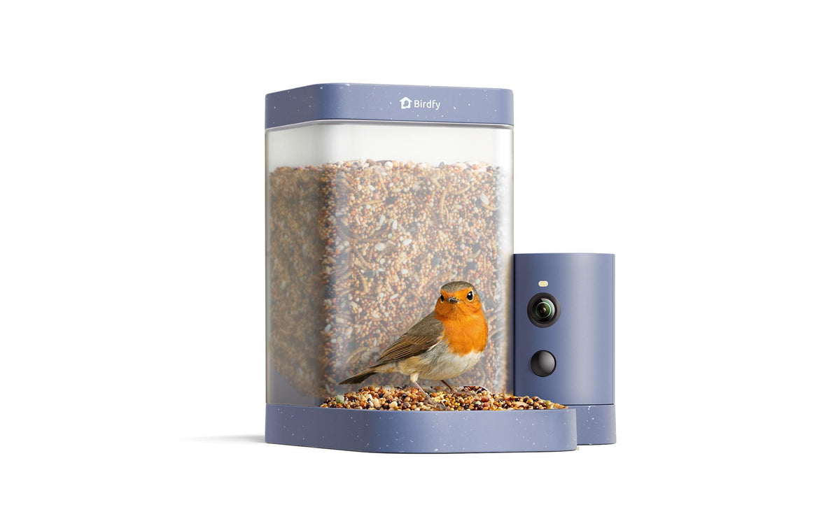 Birdfy Smartes Vogelhaus mit Kamera 60FPS 1080p HD Kamera