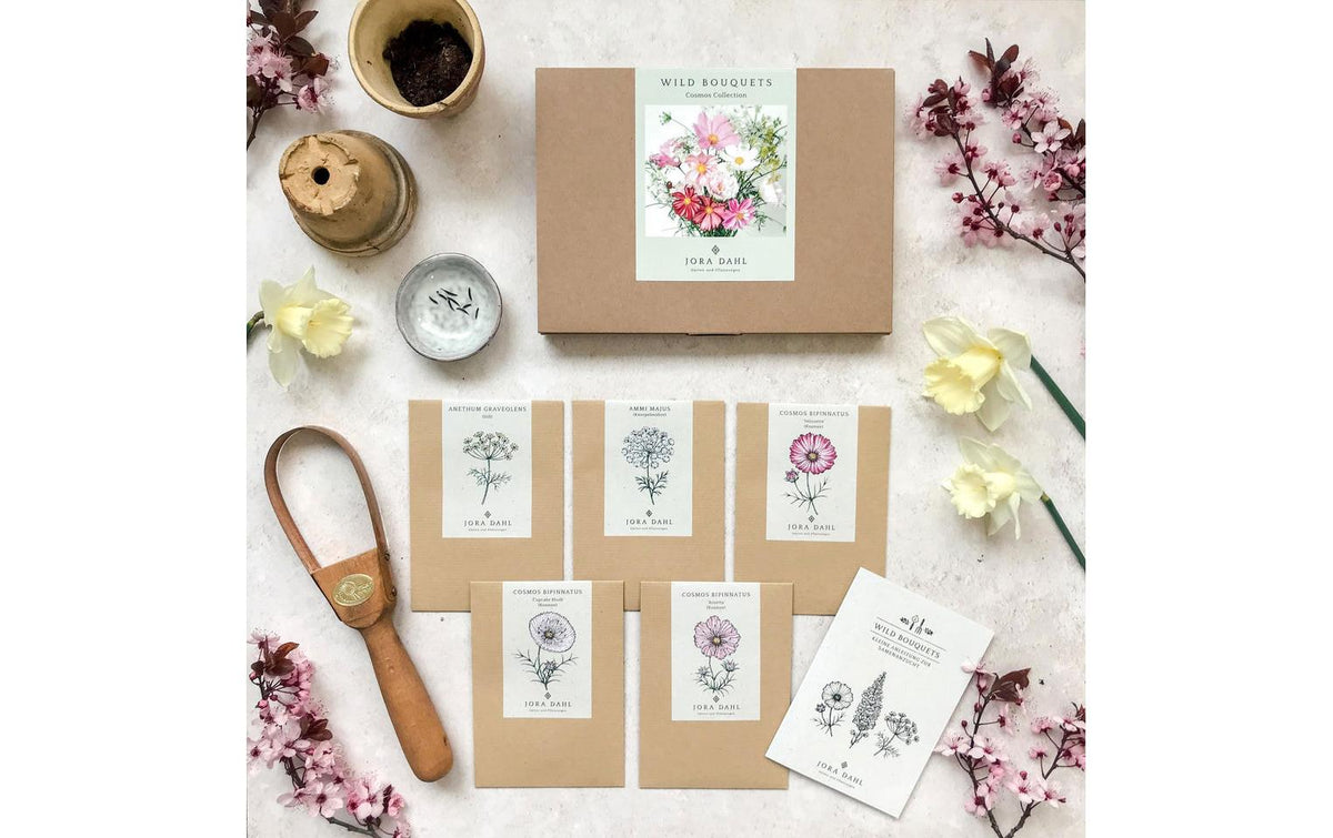 Blumenstrauss zum selber Pflanzen Cosmos Collection