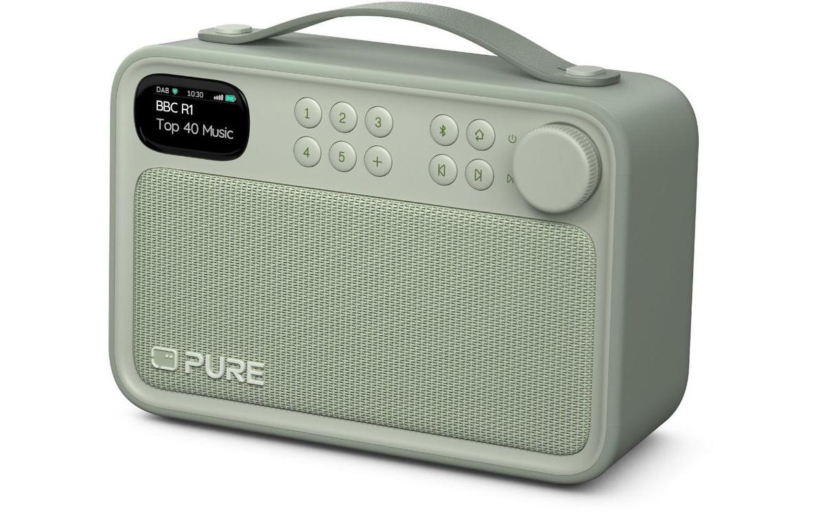 Pure, DAB+ Radio Elan One2 Schwarz DAB+/UKW-Radio, BT, Akku, IPX5