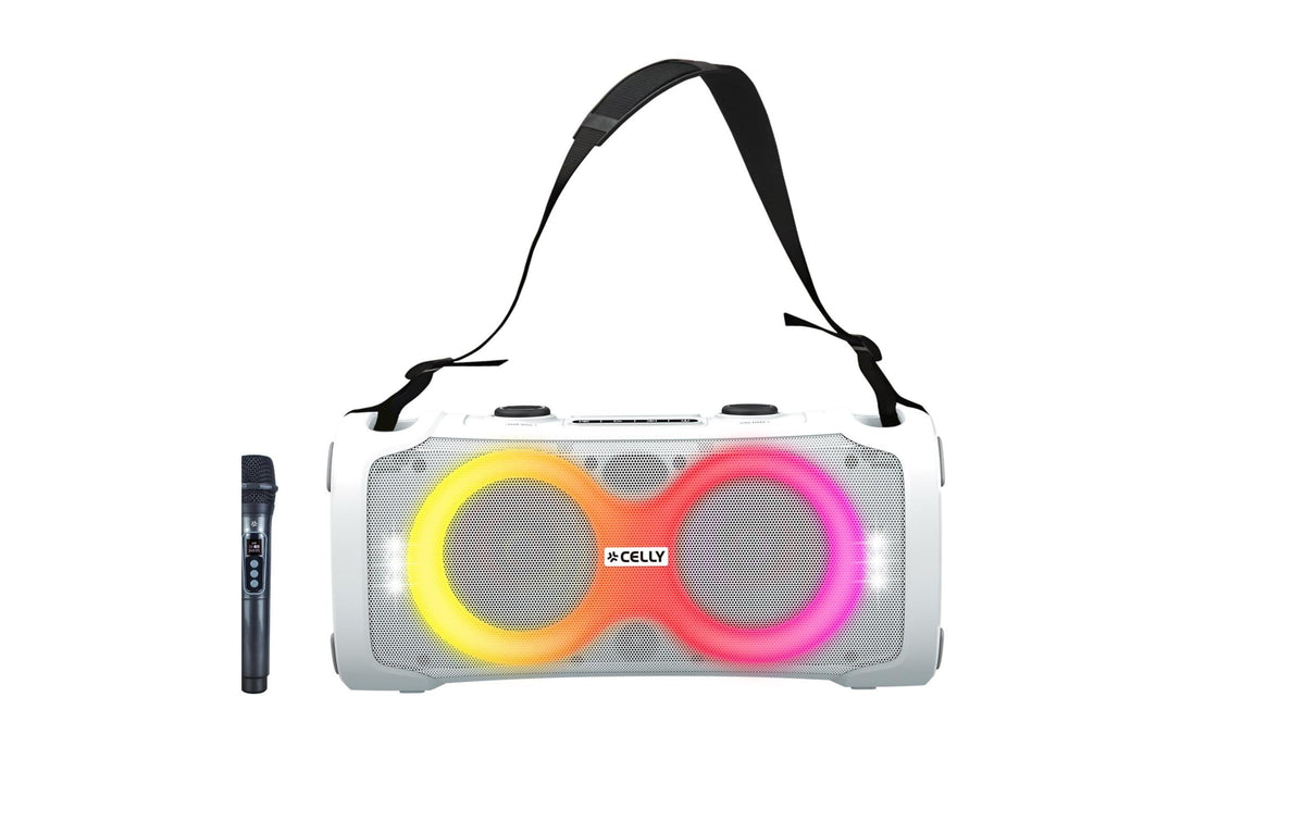45W Wireless Speaker With Wireless Microphone