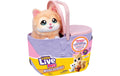 Mama Surprise Katze