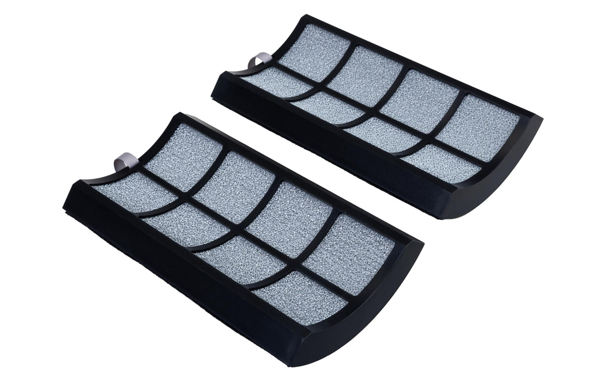 FILTER Luftreiniger HEPA carbon 2stk F10133