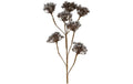 Chalet Kunstzweig Heracleum 115x40x10cm braun
