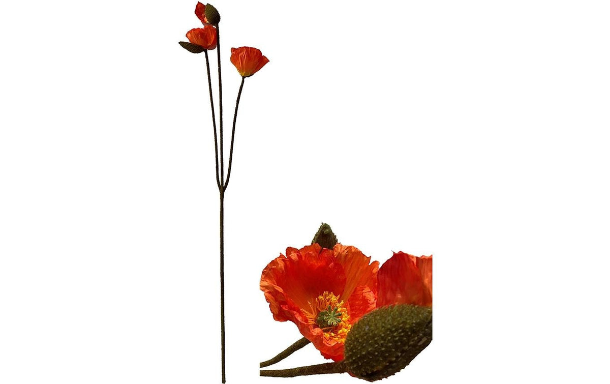 Chalet Blumenstängelmohn 105x30cm orange