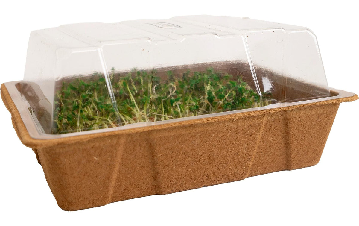 Eco Mini Anzuchthaus 20x15x8cm, 1x Haube 3x Tray, 3x Erde, 3x Holzeti.