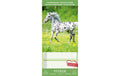 Familienkalender Pferde 2027 24.5x51.5 cm