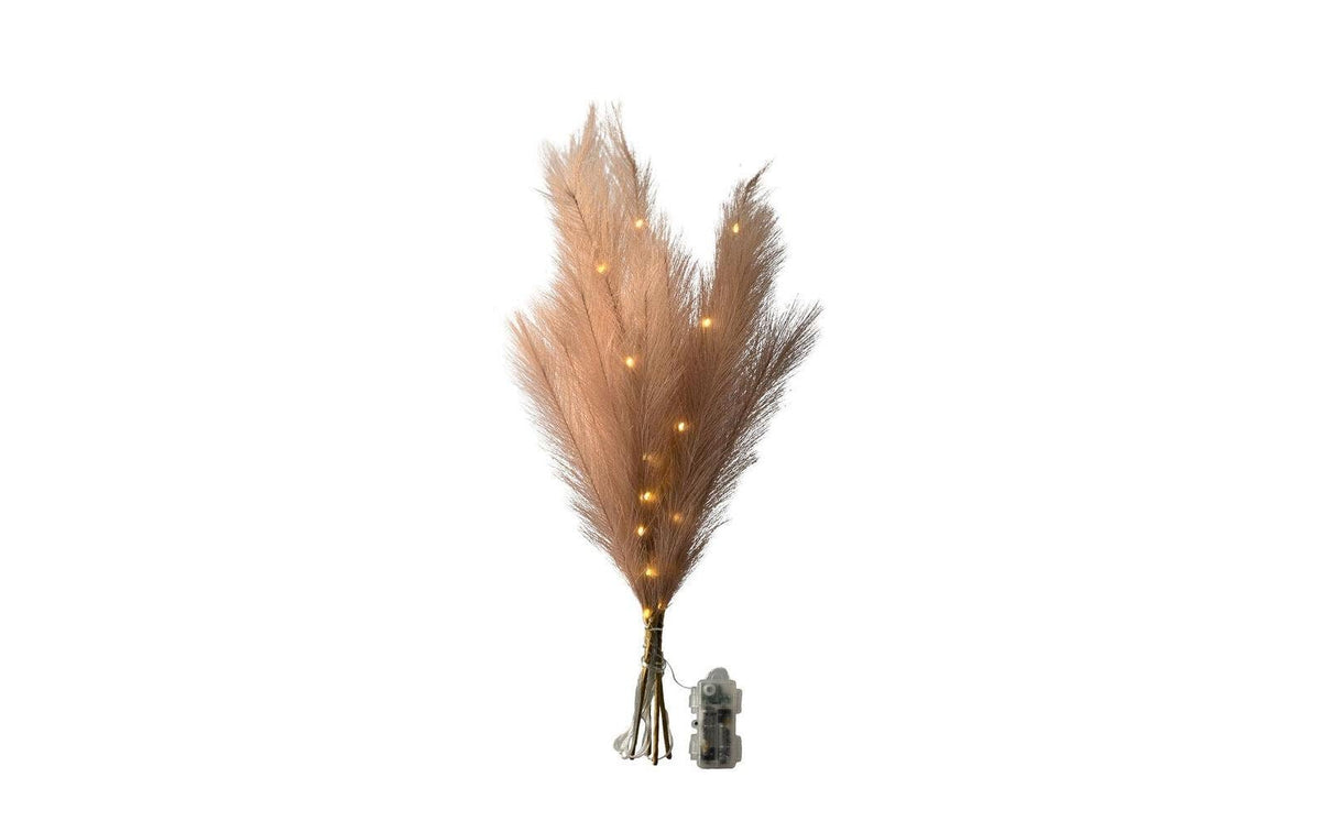 Konstsmide Deko "Pampasgras" LED, beige, 1.5V, Innen