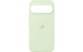 GOOGLE Pixelsnap Case, Jade Pixel 10 / 10 Pro