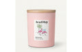 AVA & MAY Duftkerze Bahamas, 220 gr Brenndauer 56h, 100% pflanzlicher Wachs