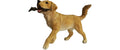 Esschert Labrador Retriever mit Stöckchen Transparent, S