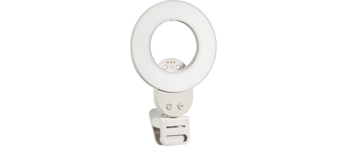 Godox LR30BI Handheld LED Light