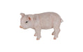 Esschert Ferkel S Natur